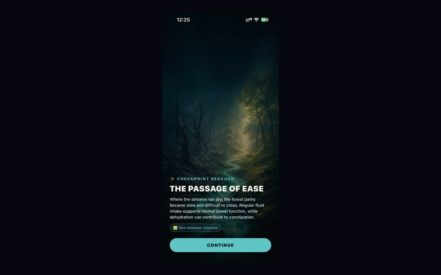 iRise — Progress map